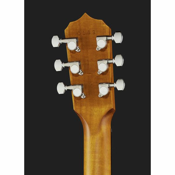 Deering Phoenix A/E 6-string Banjo