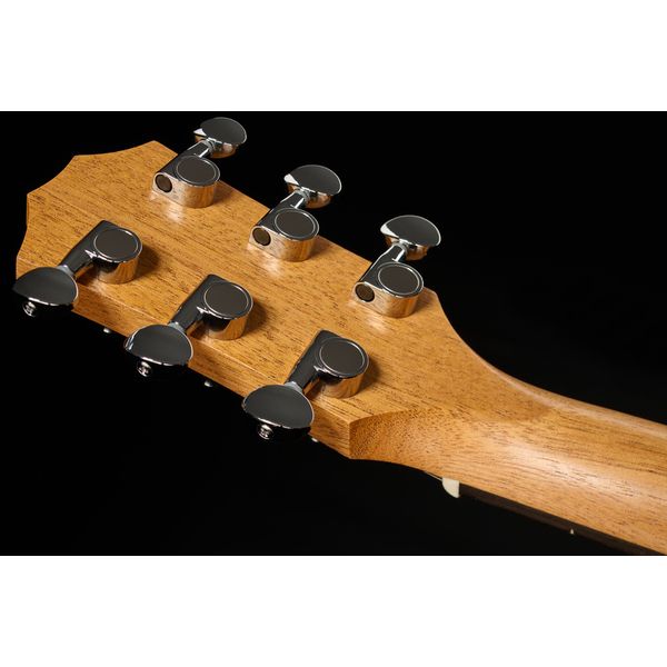 Taylor GS Mini-e Special Edition TWH