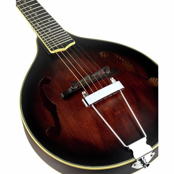 Gold Tone A-6 Mando Guitar TS