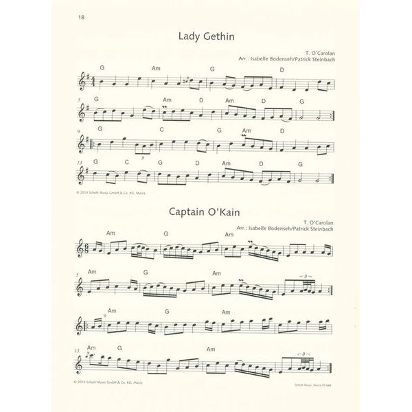 Schott The Irish Flute Book