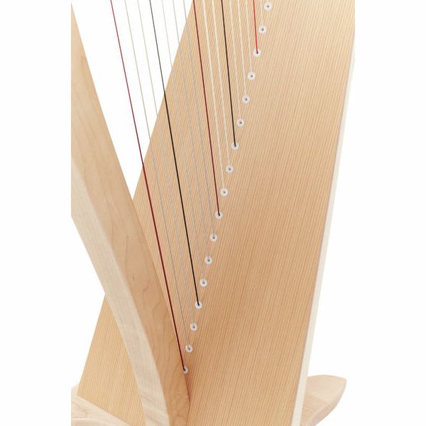 Lyon & Healy Drake LT Lever Harp Natural