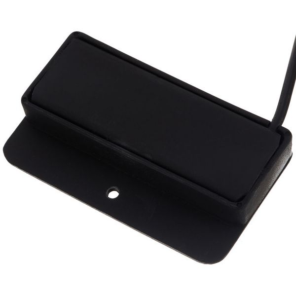 TAP Assos Bouzouki / Laouto Pickup