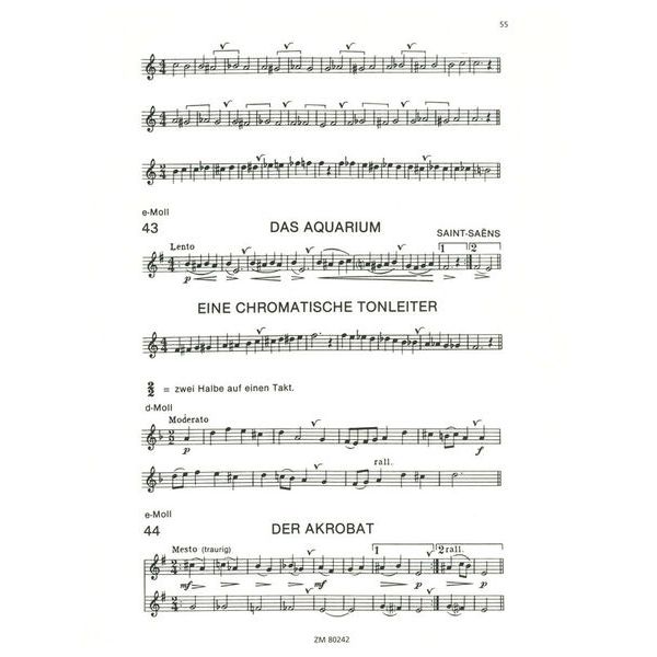 Zimmermann Verlag Flöte lernen mit Trevor Wye 2