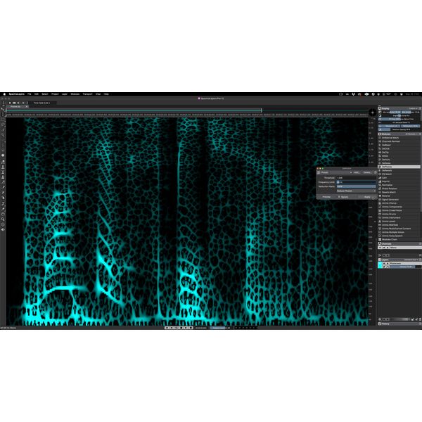 Steinberg SpectraLayers Elements 12