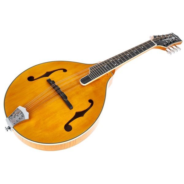 Richwood RMA-110-VS A-Style