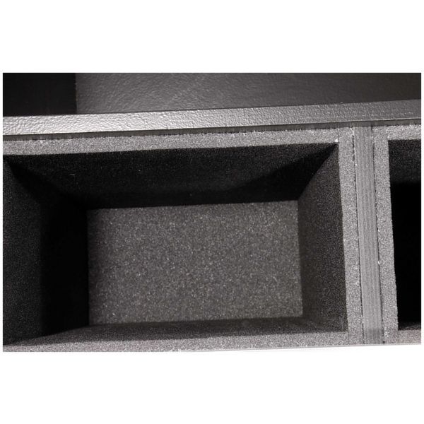 Thon Ext. Module Speech 100M 16xC/D