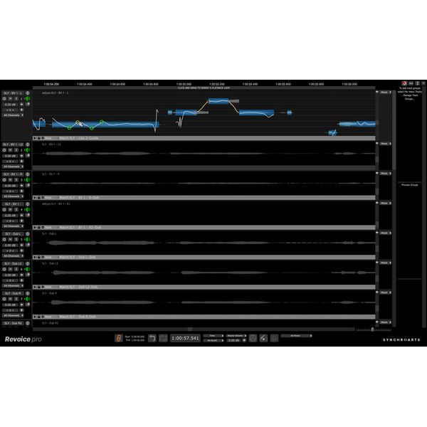Synchro Arts Revoice Pro