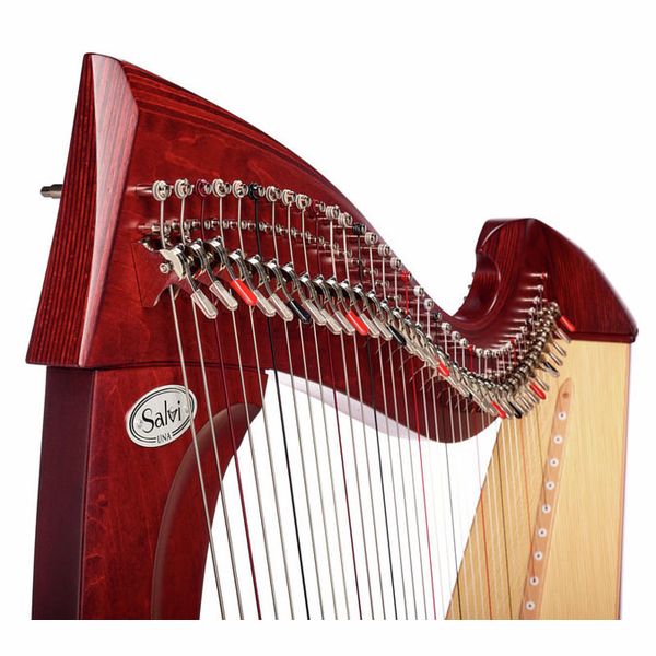 Salvi Una Mahogany Silkgut