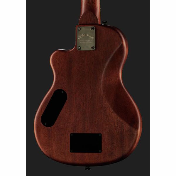 Gold Tone ME-BASS/Fretless