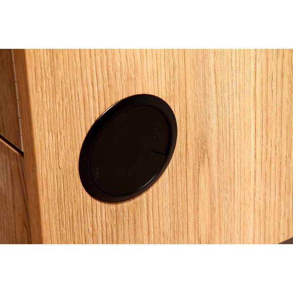 Thon Studio Rack 20U oak Media