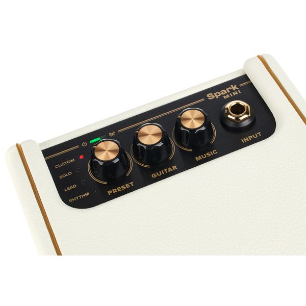 Positive Grid Spark Mini PW