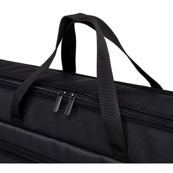 Horst Wünsche Soft Bag for Hammered Dulcimer