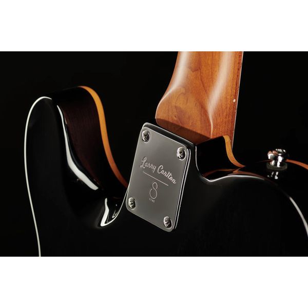 Larry Carlton T7 FM TBK