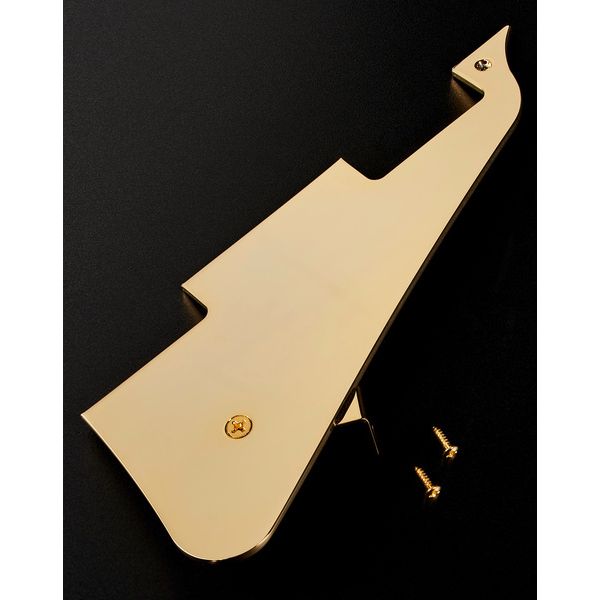 Gibson Les Paul Slash Standard AA LH