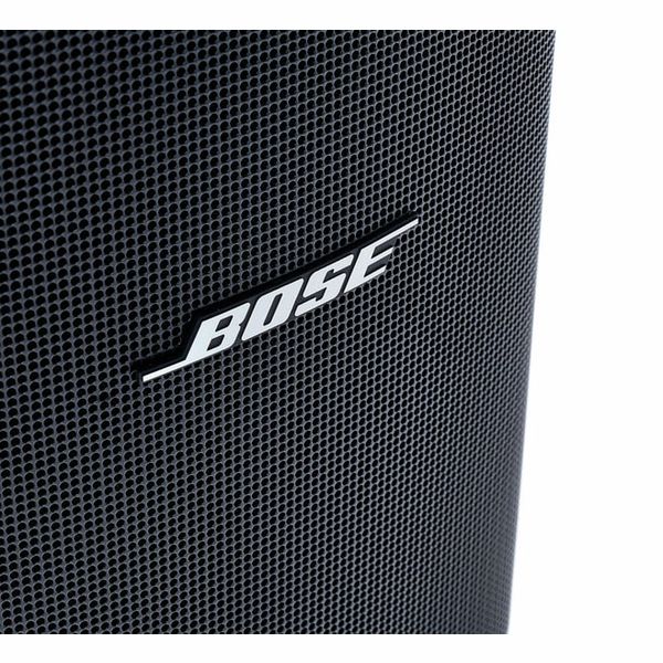 Bose Professional DesignMax DM5SE black