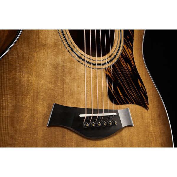 Taylor 314ce Ltd 50th
