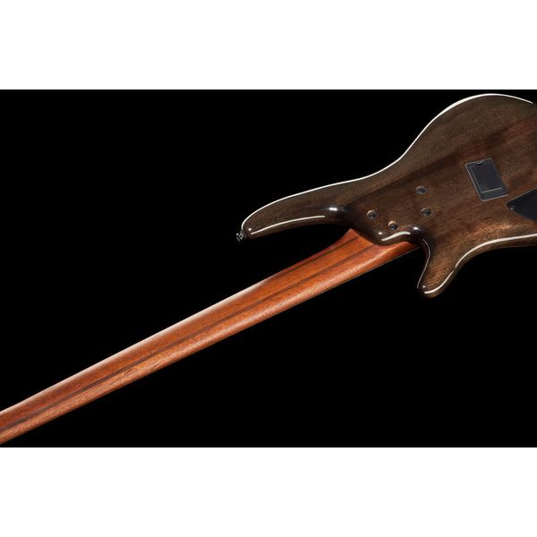 Ibanez SRMS805-DTW Workshop