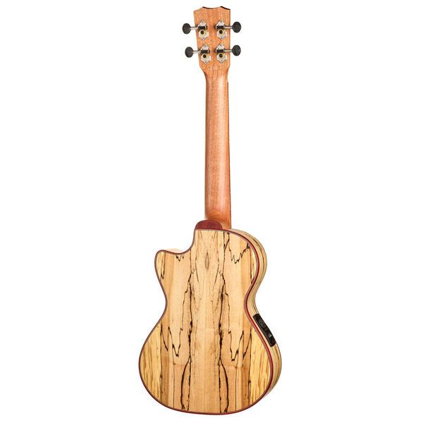 Cordoba 24T-CE Tenor Spruce Ukuele