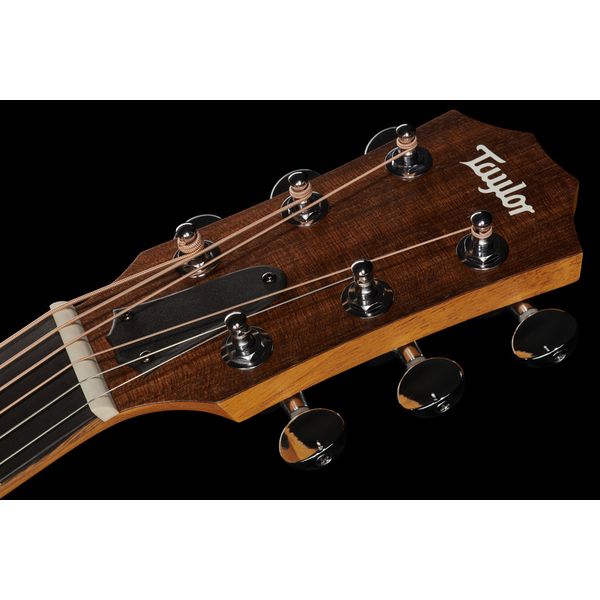 Taylor GS Mini Sapele Torrefied Top