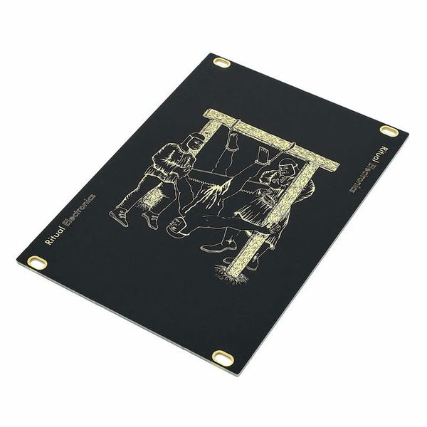 Ritual Electronics Blank 18HP