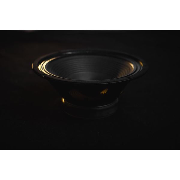 HESU Demon 12" 8 Ohms