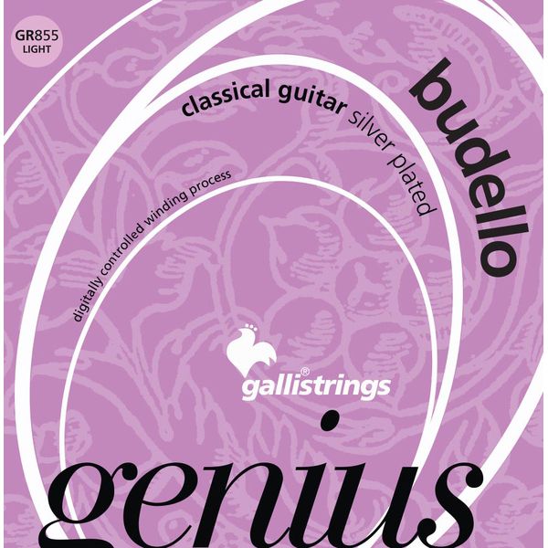 Galli Strings GR855 Genius Budello Guitar