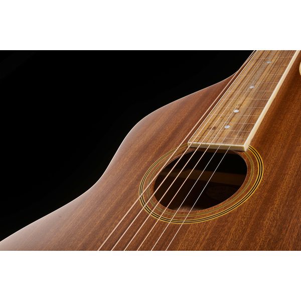 Gold Tone GT-WB Weissenborn