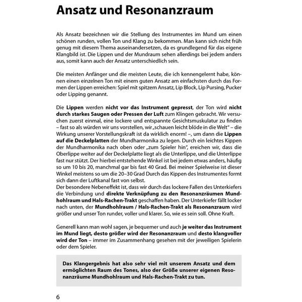 Voggenreiter Der Blues-Harp-Ratgeber