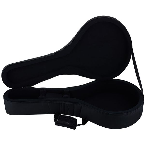 Antonio Pinto Carvalho Fado Guitar Lisboa Case