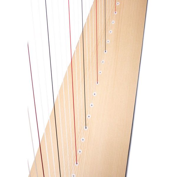 Salvi Mia 34 Ebony Silkgut