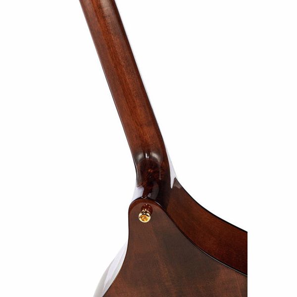 Thomann Irish Concert Bouzouki