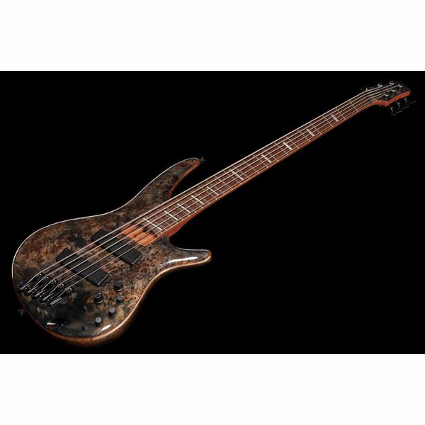 Ibanez SRMS805-DTW Workshop