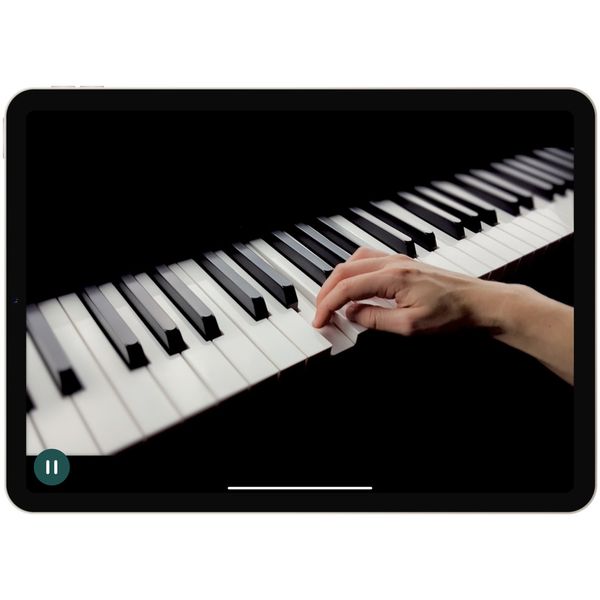 Skoove Subscription 12 Months