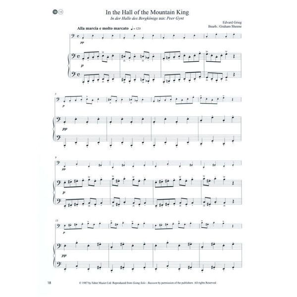 De Haske Starke Töne Bassoon