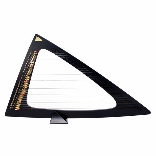 Salvi Delta Electric Harp Ebony