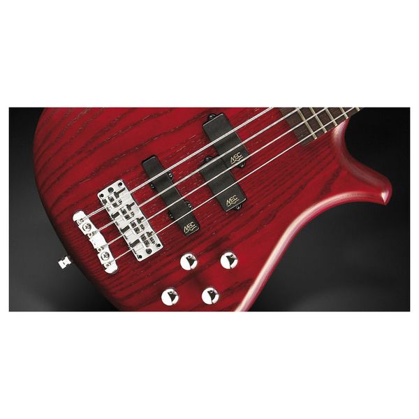 Warwick RB Fortress 4 BRTS