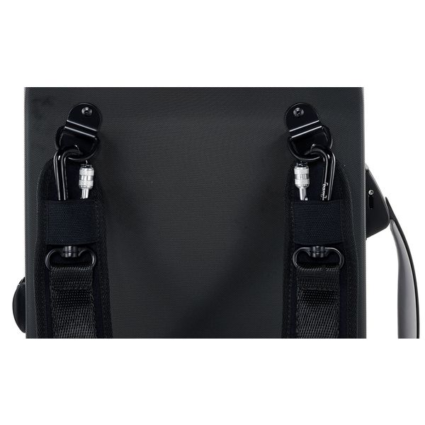 bam Supreme Hightech Guqin Case BK