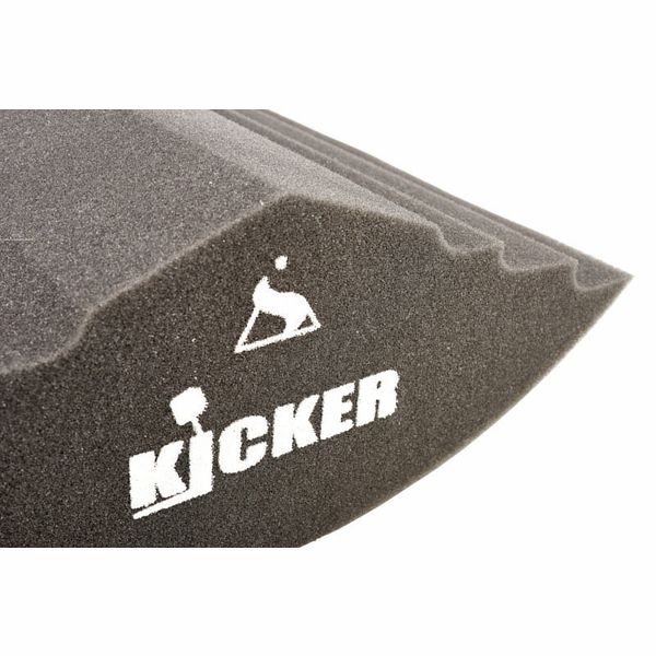Sonitus Acoustics The Kicker 22"x17" BD Pillow