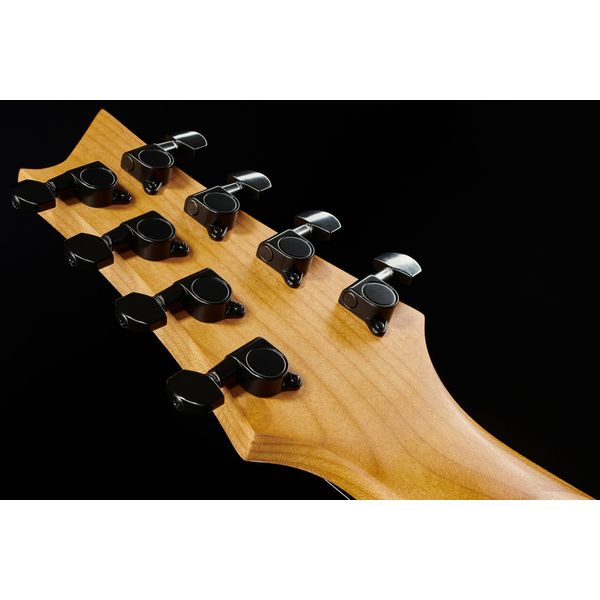 Harley Benton R-458FFB Roasted MultiScale