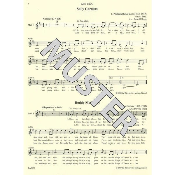 Brenreiter combocom Irish