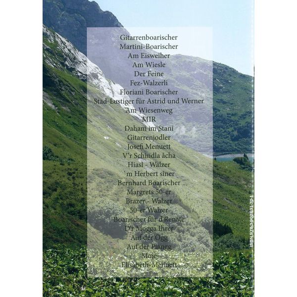 Thomann Fein Aufg'spielt Gitarre