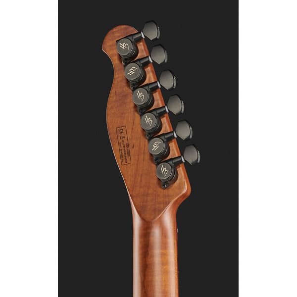 Harley Benton Fusion-T HH Roasted SW w/Case