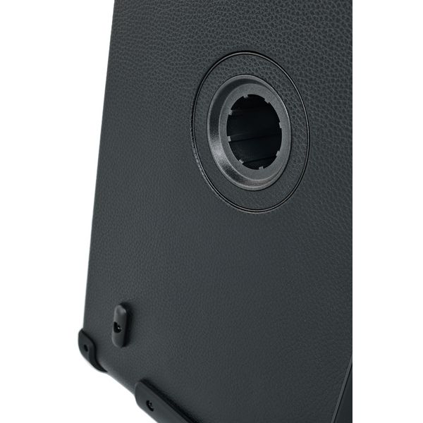 Positive Grid Spark Live