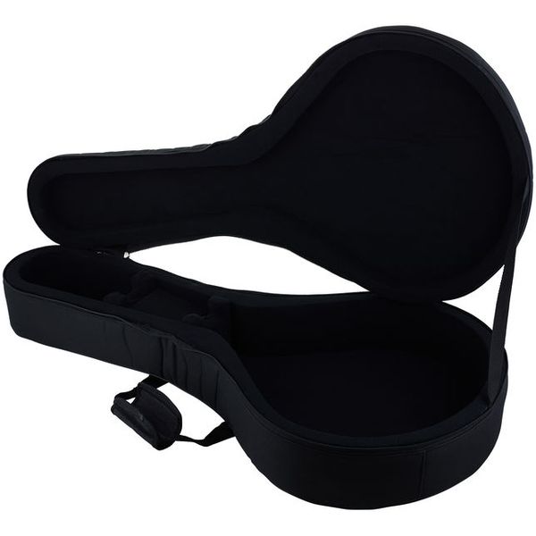 Antonio Pinto Carvalho Fado Guitar Lisboa Case