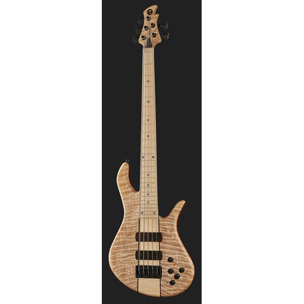 Torillo Volta 5 Quilted Maple