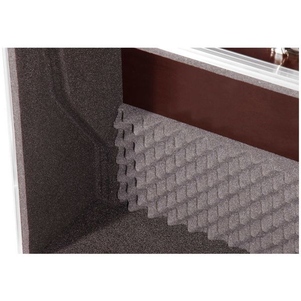 Thon Case Moog Subsequent 25