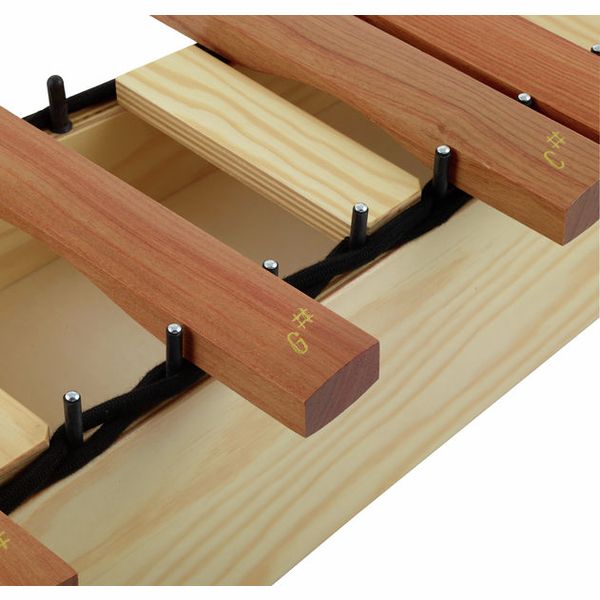 Studio 49 H-SX 1600 Chromatic Extension