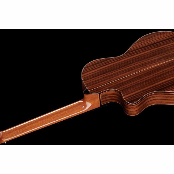 Alhambra 5P CT E2 incl.Gig Bag