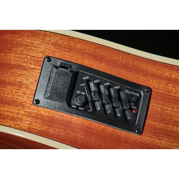 Harley Benton D-120CE VS Bundle