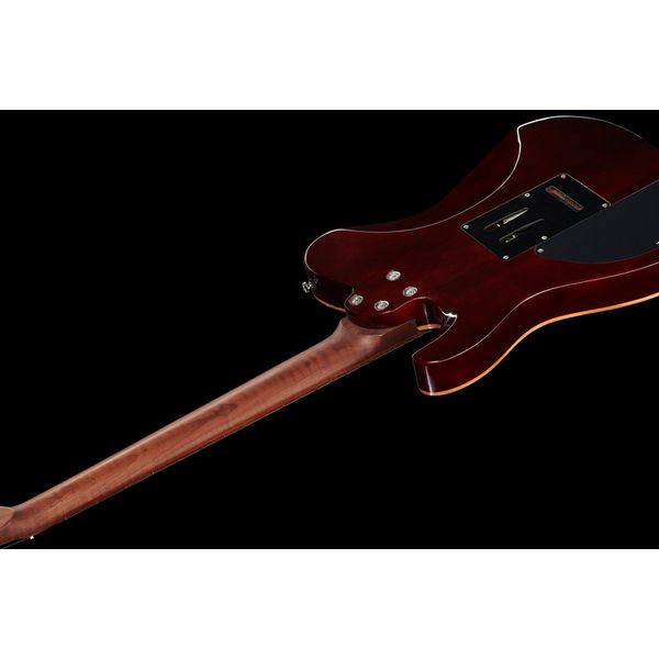 Harley Benton Fusion-T HH Roasted FNT w/Bag